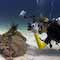 Underwater Photographer